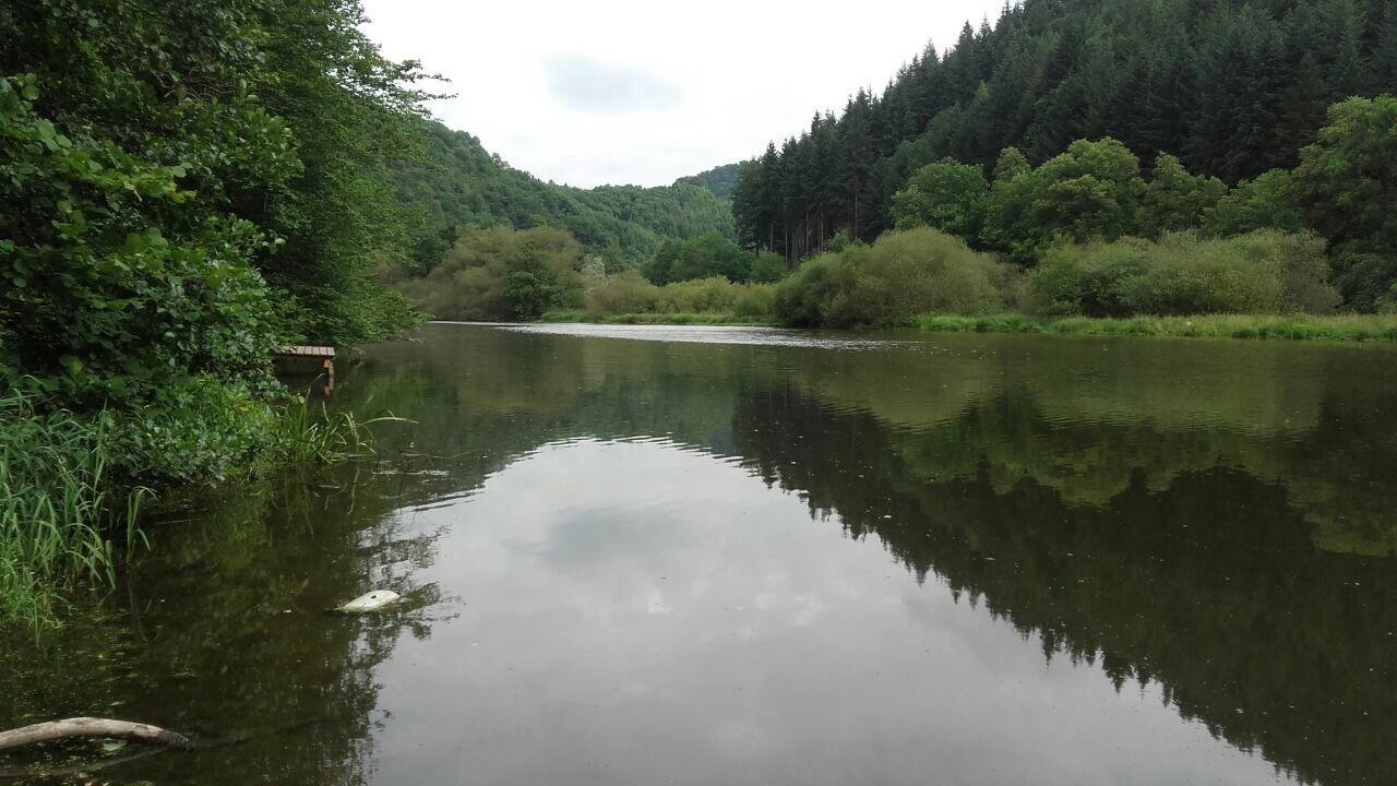 Ferienwohnungen "Am Fuerstenweg" 노이비트 외부 사진