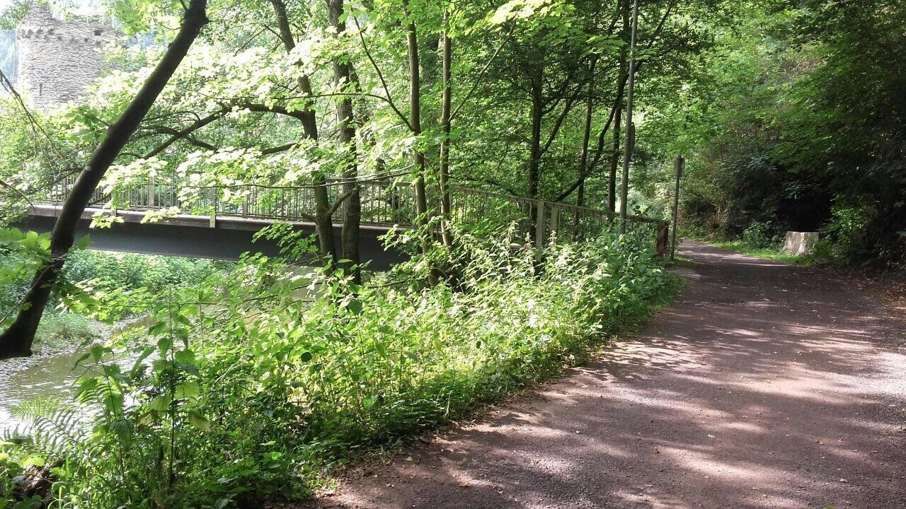 Ferienwohnungen "Am Fuerstenweg" 노이비트 외부 사진